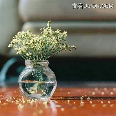 零碳目标下的生存法则：菲仕技术...